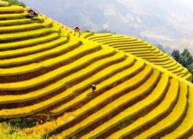 Sapa - nơi nghỉ mát lý tưởng dịp hè (3 ng...