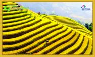 Thắng cảnh đẹp